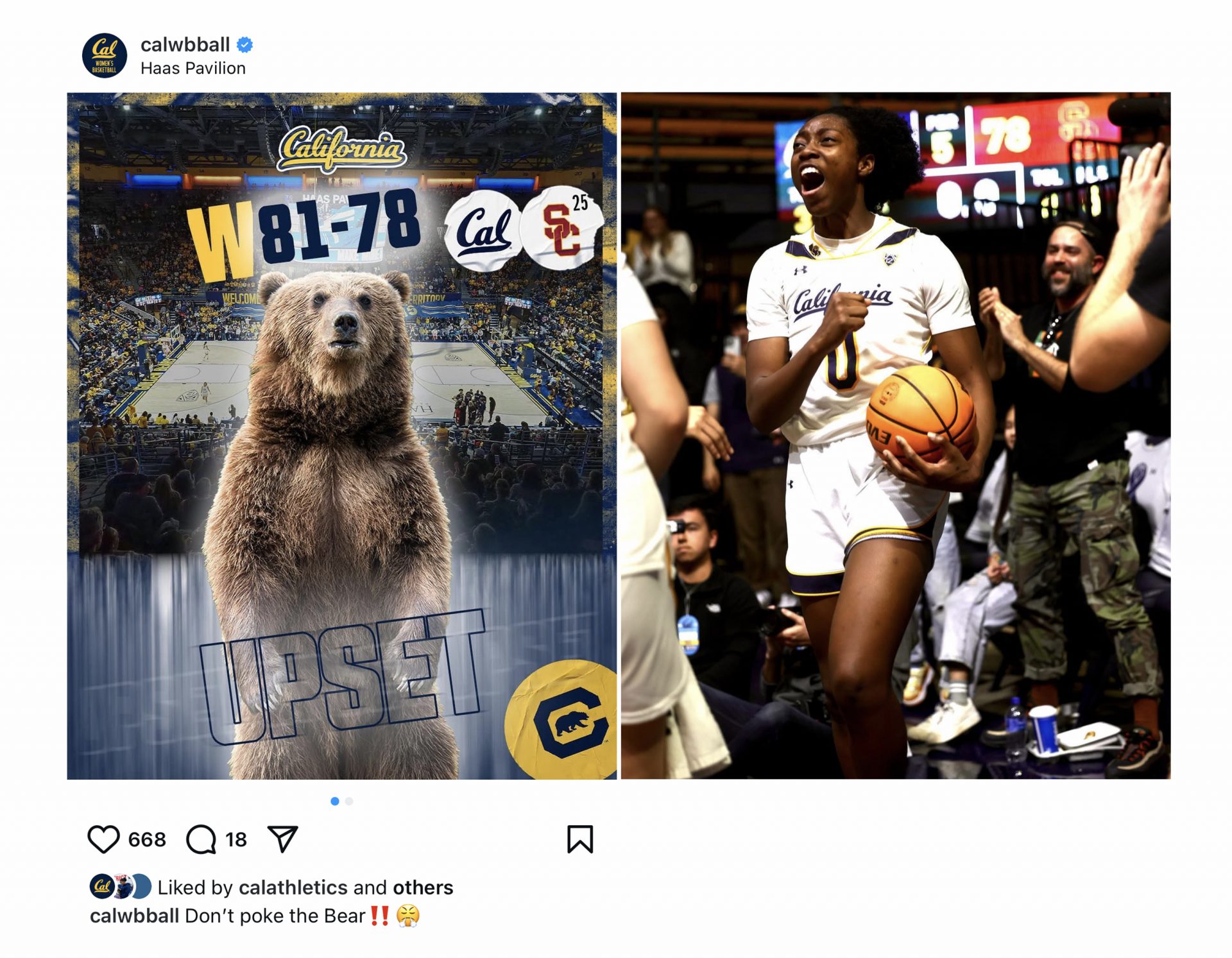 Cal – Social Media Growth Strategy Summary